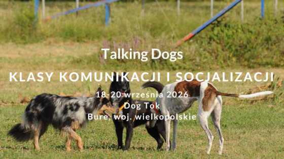 Klasy komunikacji i socjalizacji w Wielkopolsce - wrzesień