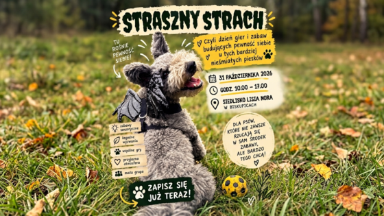 Straszny strach, czyli dzień gier i zabaw budujących pewność siebie u tych bardziej nieśmiałych psów